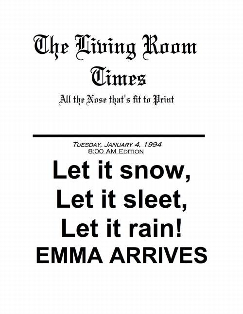 Living Room Times 1-4-94 page 1